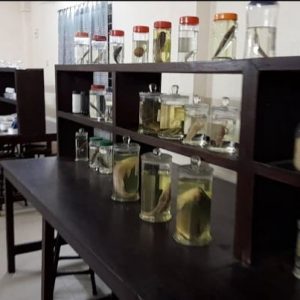 fish lab (2)