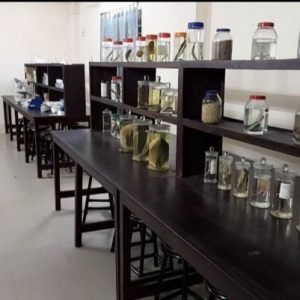fish lab (8)